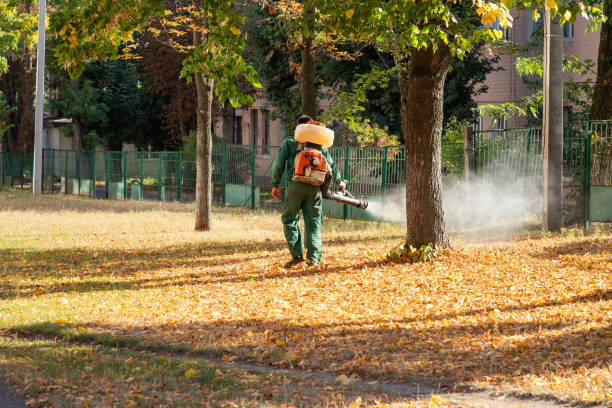 Reliable Windsor, PA Pest Control Solutions