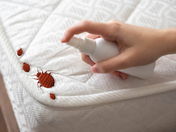 Best Pest Prevention Services  in Windsor, PA