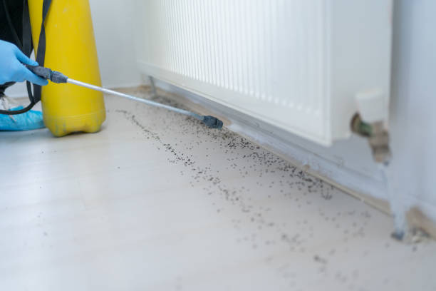 Best Pest Control for Homes  in Windsor, PA