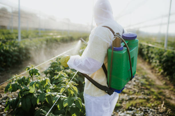 Best Mosquito Control Services  in Windsor, PA